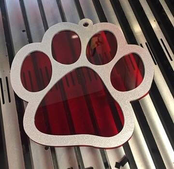Bonzo's new collar