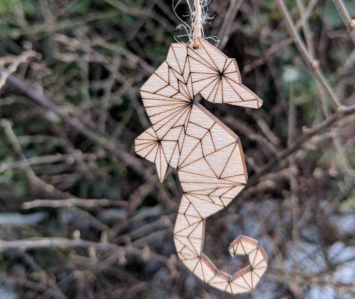 geo seahorse for Jessica Taylor